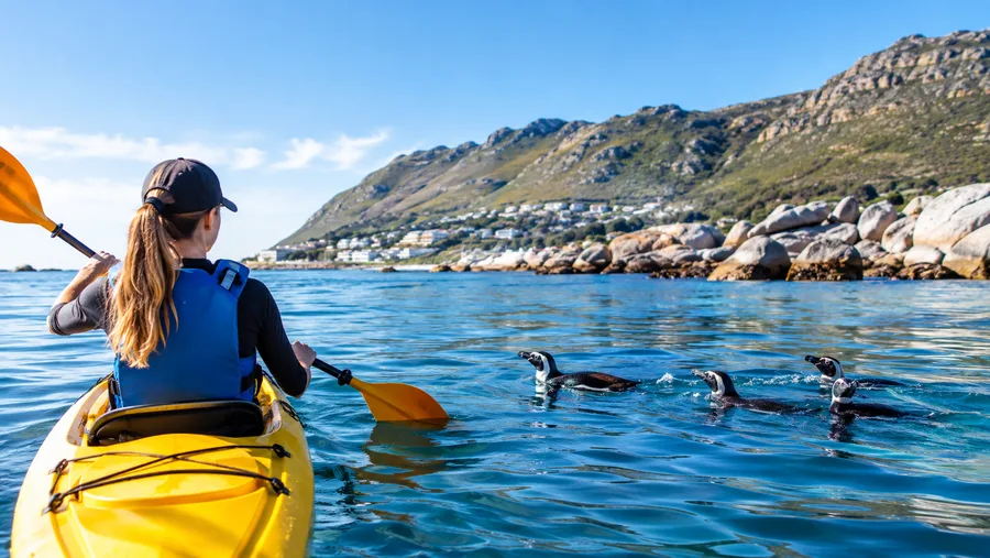 Kayaking in Simon's Town: Calm Waters and Wildlife